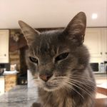 Oliver Holt - @osholt - Instagram