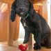 Oliver Holt - Facebook