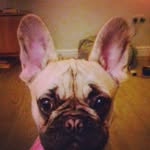 Oliver Howell - @oll_howell07 - Instagram