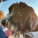 Oliver huff peirce - @oliverhuff1234 - Instagram