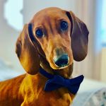 Oliver Hutton - @o_l_i_v_e_r_h_u_t_t_o_n - Instagram
