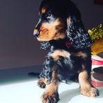 Oliver Hutton - @oliver_fora - Instagram