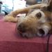 Oliver Hutton - Facebook