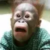 Oliver Hutton - @oliver.hutton79 - TikTok