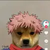 Finley Oliver-Irwin - @finley.oliverirwi - TikTok