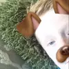 Oliver Irwin  - @oliverirwin12 - TikTok