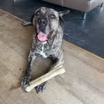 Oliver Jansen - @ollijansen1409 - Instagram