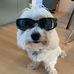 Oliver Jensen - Facebook