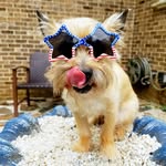 Oliver joseph - @oliver_joseph_14 - Instagram