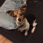 Oliver Joyner - @ollie_the_juice - Instagram