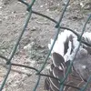 oliverkaufmann761 - @oliverkaufmann761 - TikTok
