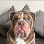 Oliver James Kirby - @olliekirbz - Instagram