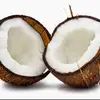 JamaicanCoconut fan - @oliverkitchen69 - TikTok
