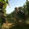 oliverkitchen375 - @oliverkitchen375 - TikTok