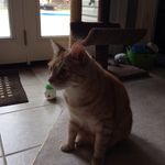 Oliver Kline - @oliver_is_my_name_ - Instagram