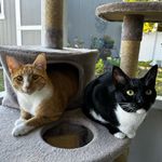 Roxy and Oliver (Ollie) Kline - @roxy_and_oliver2 - Instagram