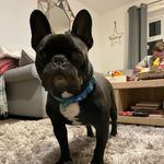 Oliver Knowles - @oliverknowles3 - Instagram