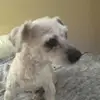 oliver_kramer1 - @oliver_kramer1 - TikTok
