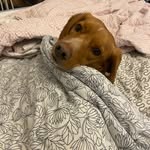 Oliver Kramer - @krameroliver1 - Instagram