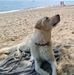 Oliver Kroll - Facebook