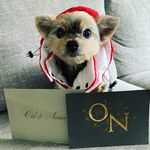 Oliver Lam - @oliver.lams - Instagram