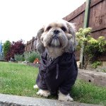 Oliver Lanham - @x3batman2004_oliver_lanham - Instagram