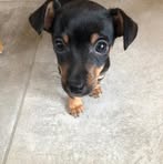 Oliver Larkin - Facebook
