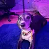 Oliver Lee - @oliver.lee1 - TikTok