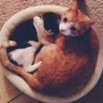 Oliver + Leo - @oliverandleo - Instagram