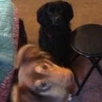 Oliver And Lilly - @oliver_lilly - Instagram