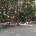 Oliver Lopes - Facebook