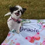 Jewel gram - @loving_oliver_and_gracie - Instagram
