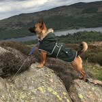 Oliver - @oliver_loving_life - Instagram