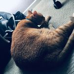 Oliver Lowery - @loweryoliver - Instagram