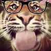 Oliver🐯 - @oliver.lukxx - TikTok
