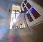 Oliver Macdonald - Facebook