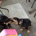 Oliver Mack - Facebook