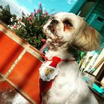 Oliver - @_oliver_mackenzie - Instagram