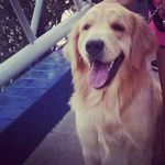 Oliver Mackenzie Bessa - @olivermackenziebessa - Instagram