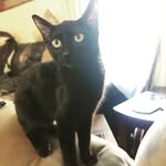 Oliver Macklin - @ollie.macklin - Instagram