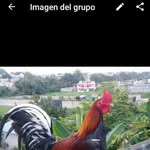 Oliver Matos - @oliver123326 - Instagram