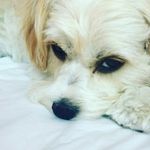 sandy_maynard_oliver_xoxo - @sandy_maynard_oliver_xoxo - Instagram
