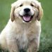 Oliver McCurdy - Facebook