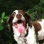 OliverMckee - @olivermckee_ - Instagram