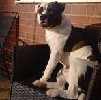 Oliver Mclaughlin - Facebook