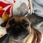 Oli - @mcnameeoliver - Instagram