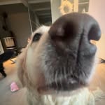 Oliver Meier Olsvik - @oliver.olsvik - Instagram