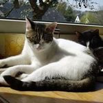 Oliver Meng - @olivermeng666 - Instagram