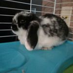 Oliver - @_oliver_montgomery_ - Instagram