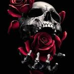 Oliver Mora - Facebook